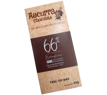 Barra de Chocolate Ascurra 66% Açúcar de Coco 40g
